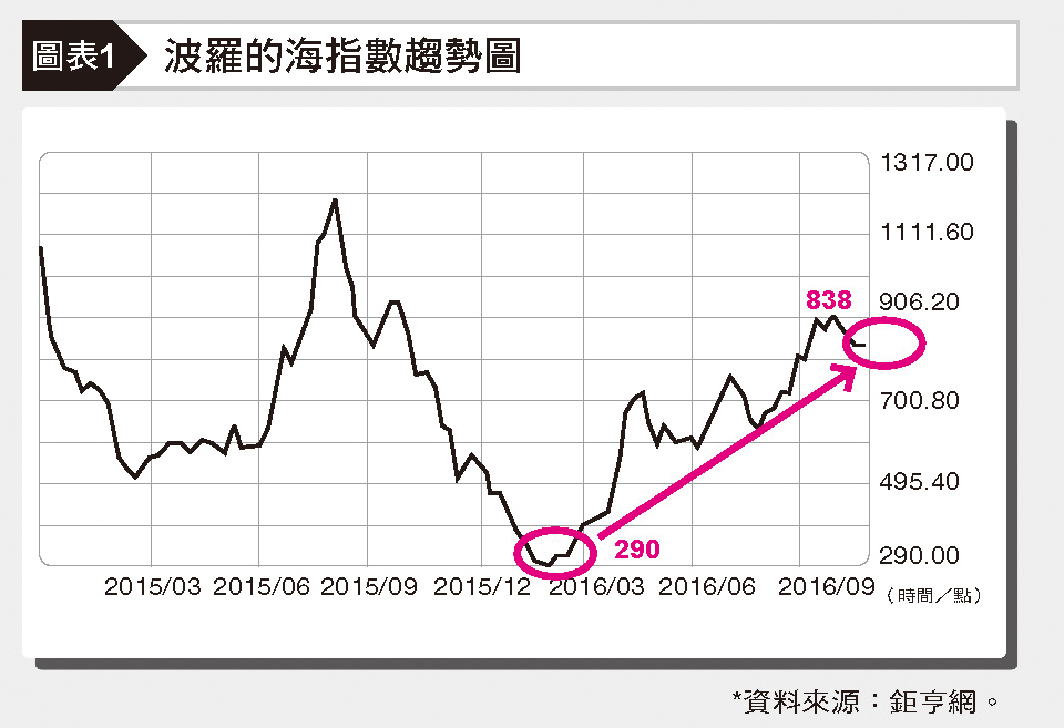 我買雪球組，熊出沒照賺87%