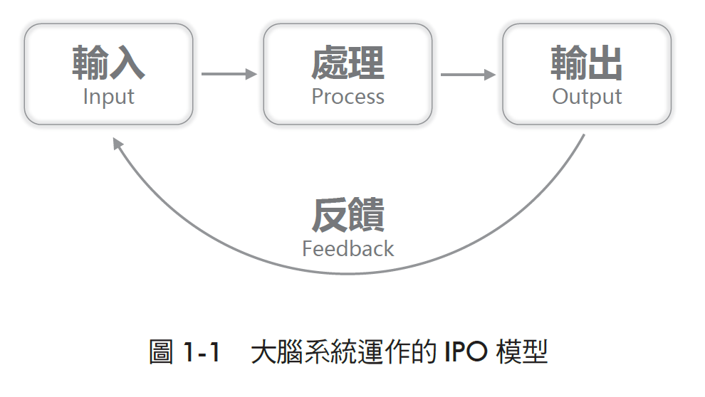 懂得輸出的人，到哪裡都有優勢