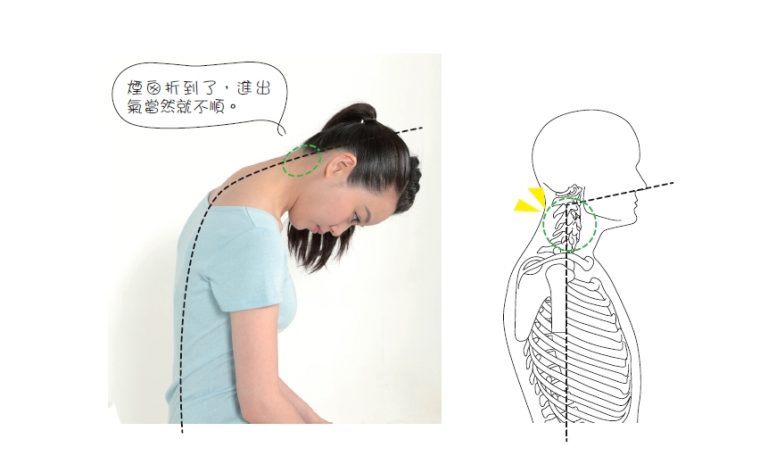 3分鐘筋動力：不花錢、不吃藥，立即擺脫各種惱人毛病