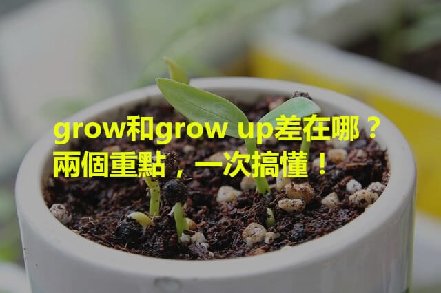 grow和grow up差在哪？兩個重點，一次搞懂！
