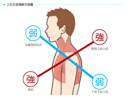 對症運動，鬆出好健康