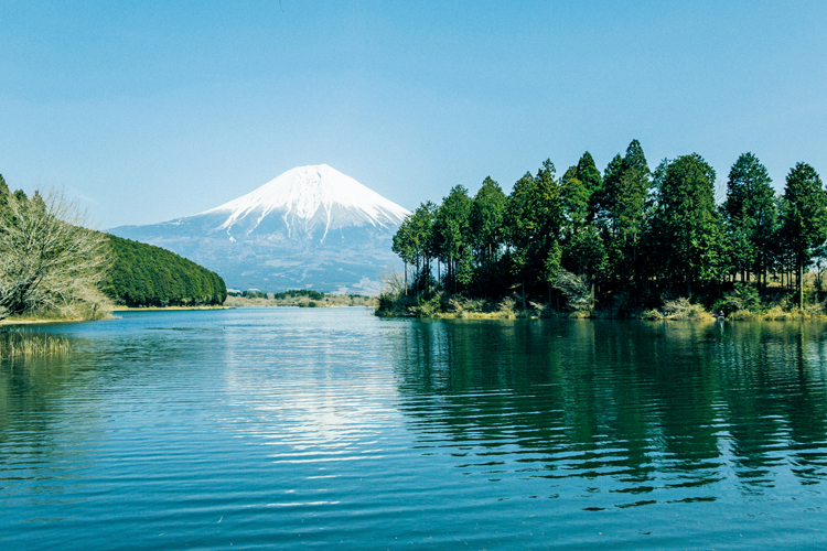 富士山絕景散策：慢行古鎮、神社、河口湖，踏訪世界文化遺產的8種私旅路線